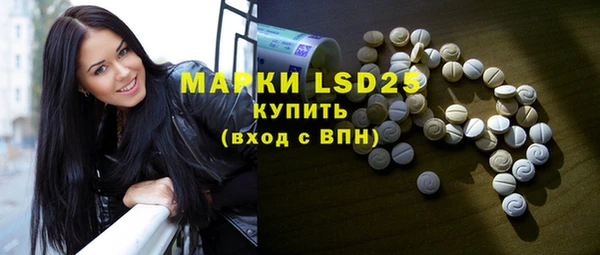 ECSTASY Алзамай