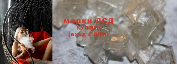 ECSTASY Алзамай