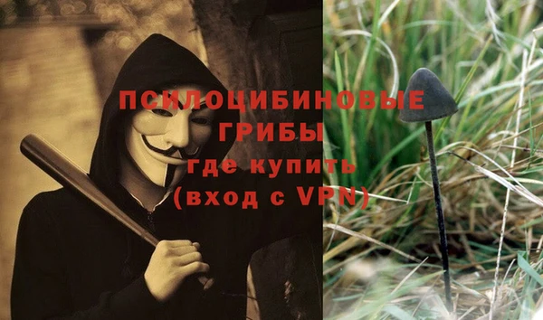ECSTASY Алзамай