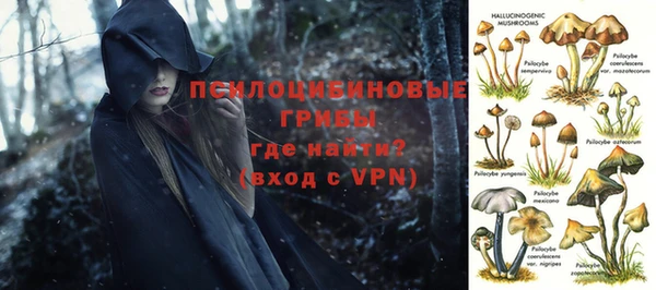 ECSTASY Алзамай